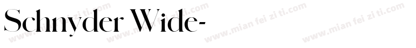 Schnyder Wide字体转换